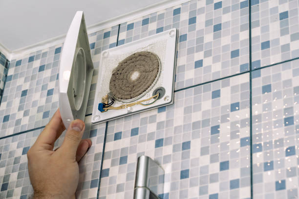 Best Air Duct Mold Removal  in Pennington Gap, VA